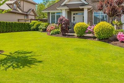 General Yard Clean Up